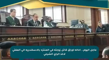 عاجل اليوم.. إحالة أوراق قاتل زوجته في المنتزه بالإسكندرية إلى المفتى لأخذ الرأي الشرعي